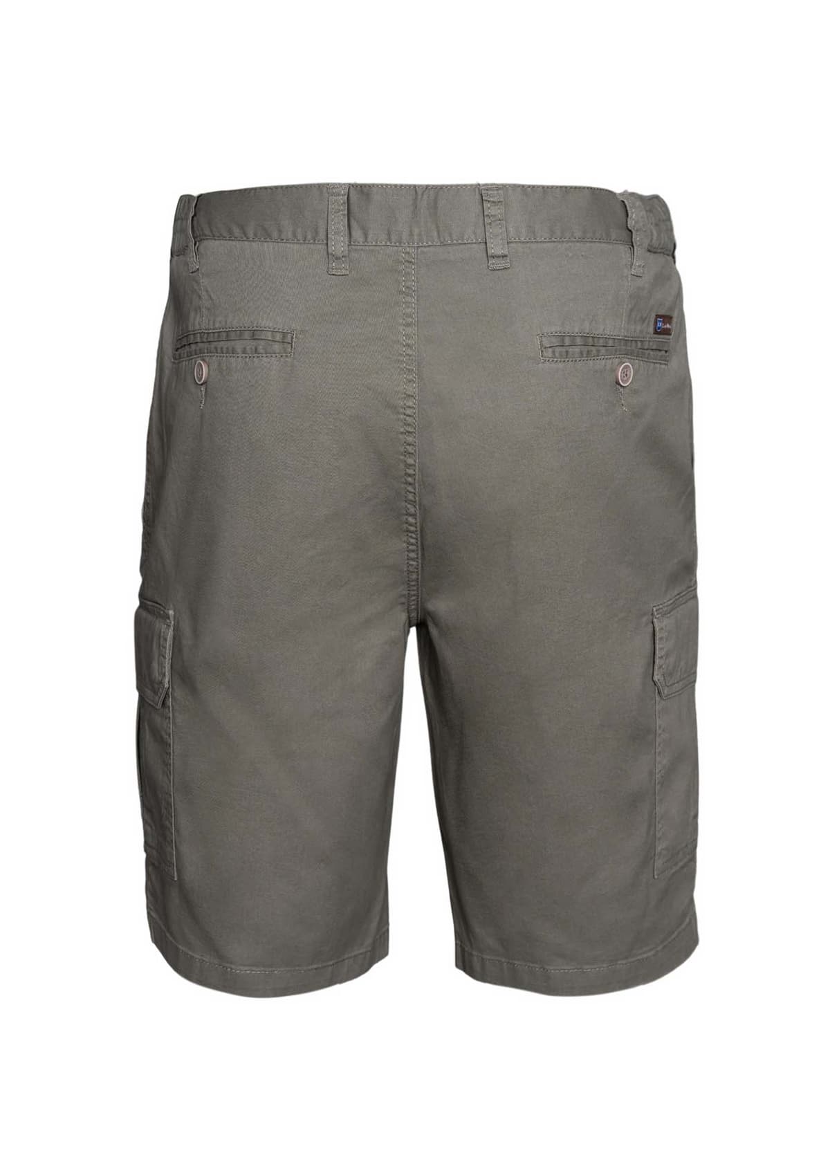 Men's Cargo Shorts Fragosto Brown