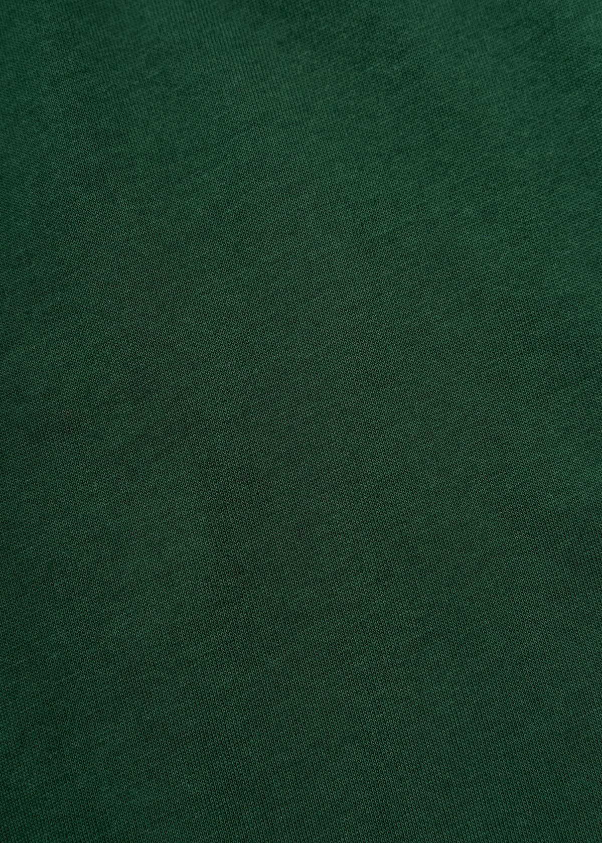 Men's T-Shirts Polo Ralph Lauren Green