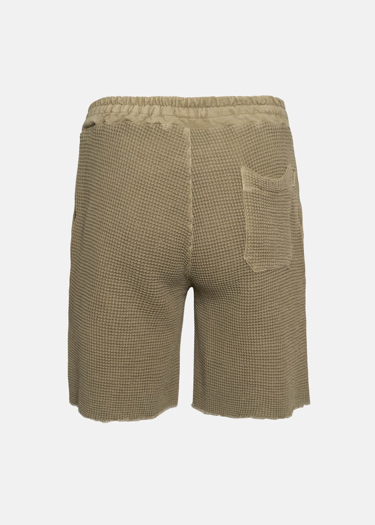 Men's Shorts Crossley Green