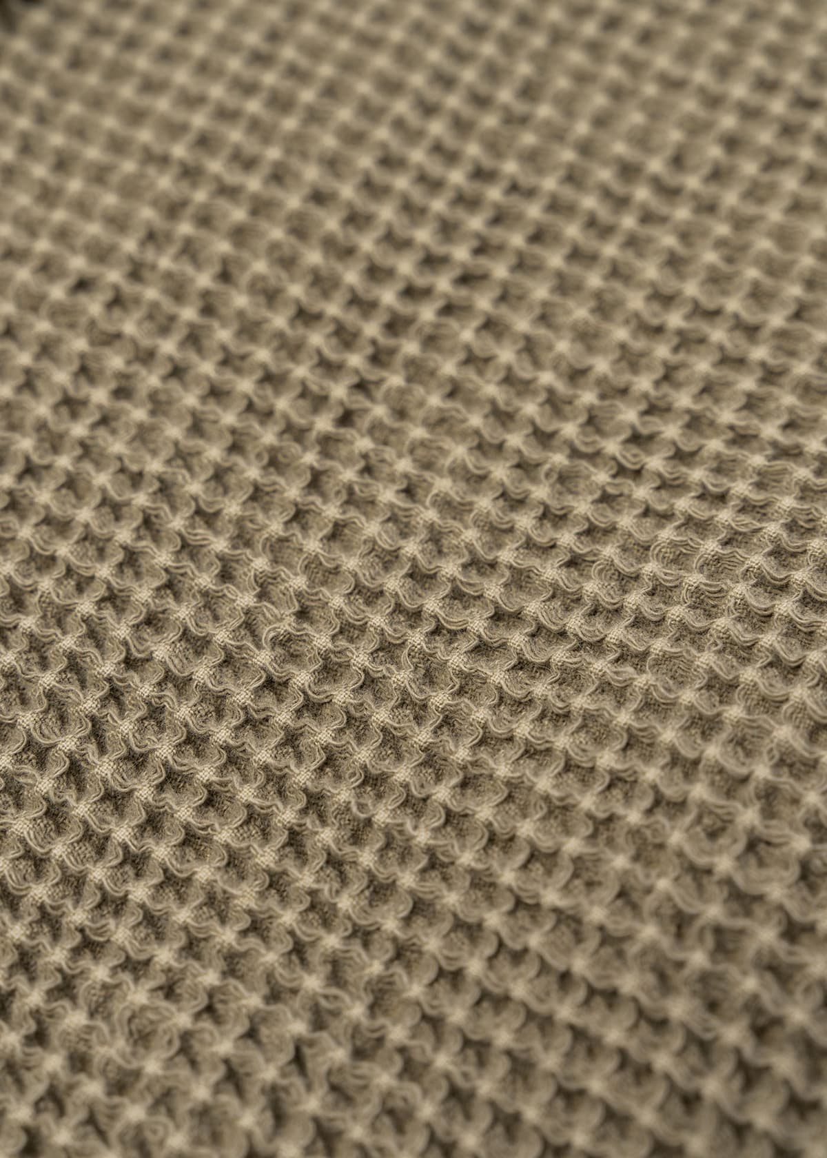 Men's Shorts Crossley Green