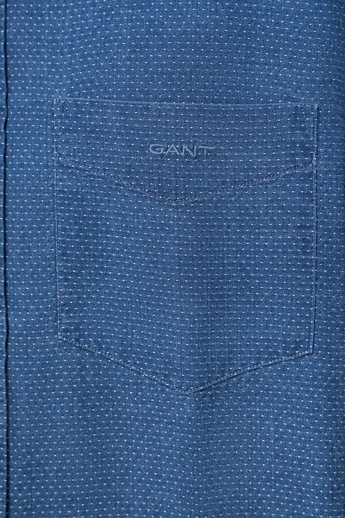 Men's Shirts Gant Blue