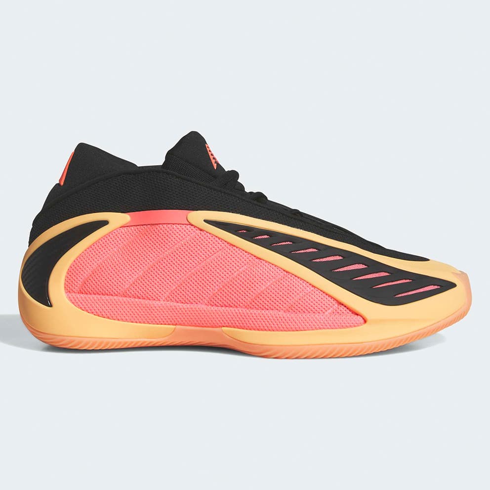 Women's Basketball Shoes Adidas Multicolor