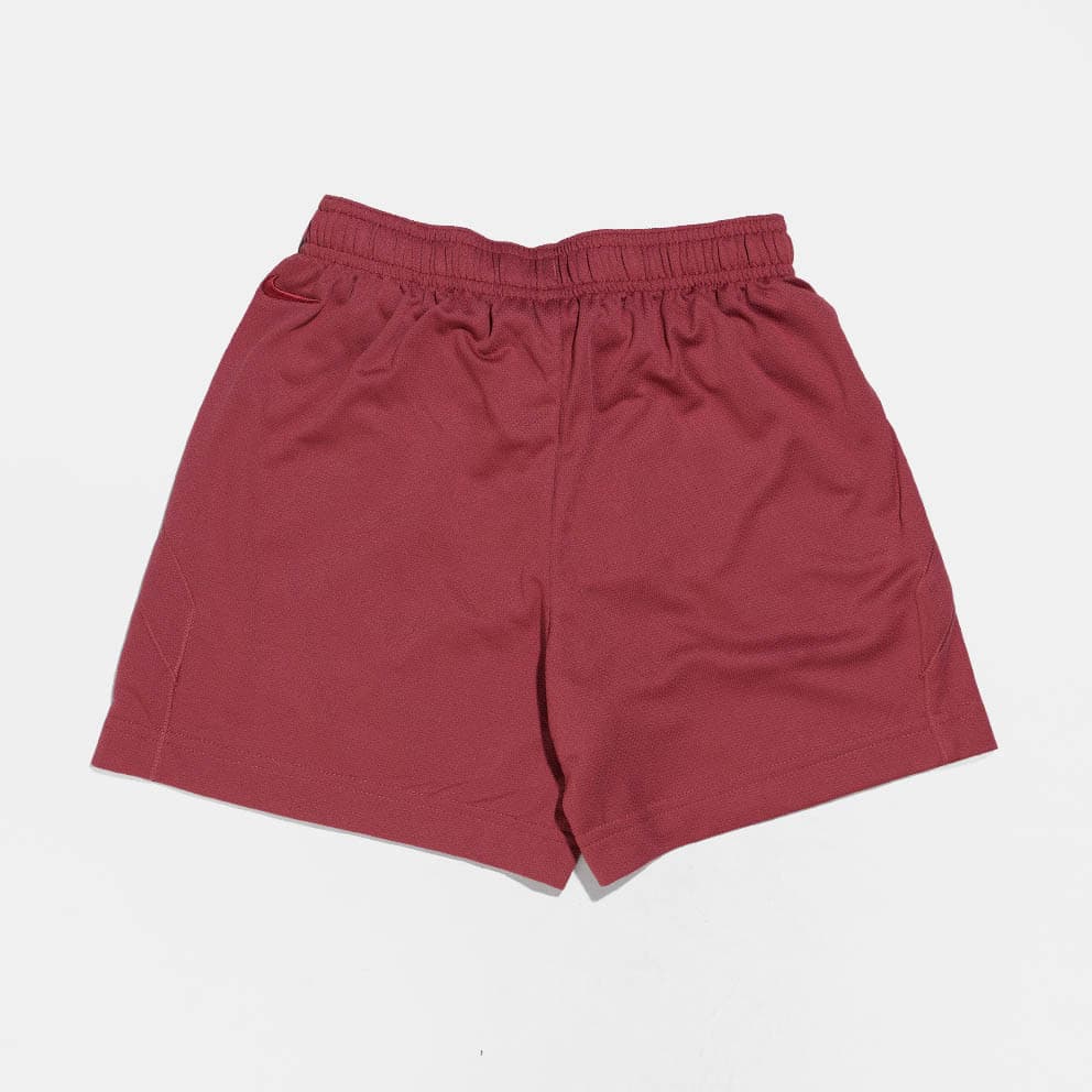 Boys' Shorts Nike Multicolor