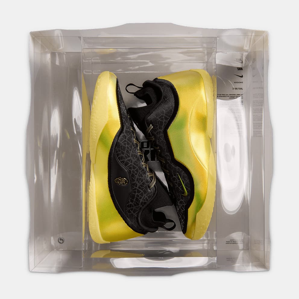 Men's Basketball Shoes Nike Multicolor