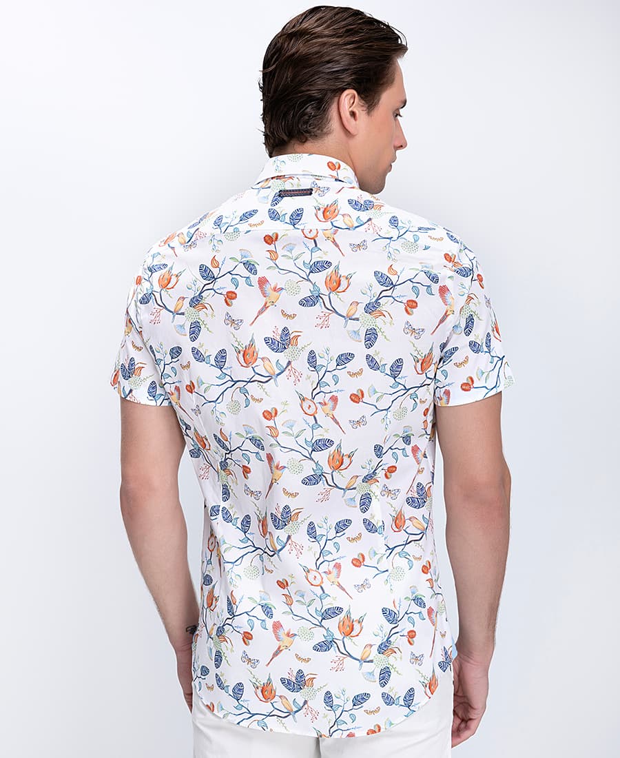 Men's Shirts A Fish named Fred Multicolor