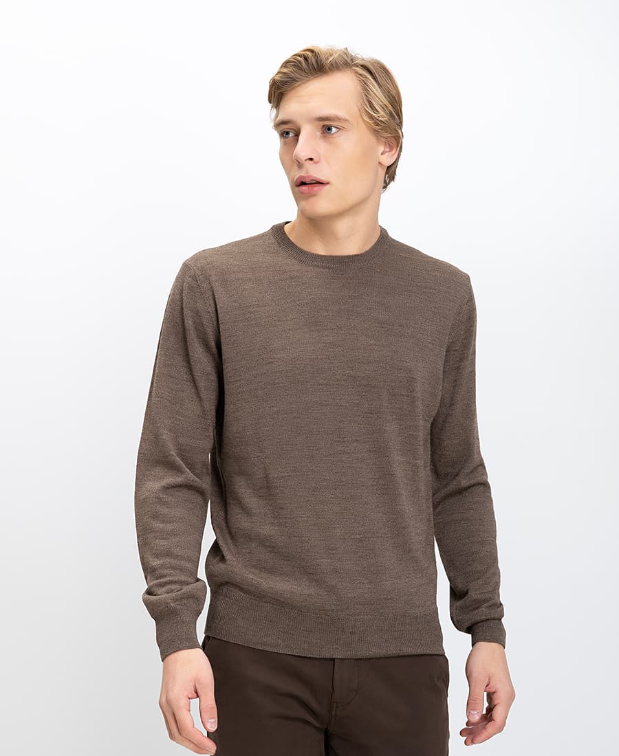 Men's Sweaters B.S Bags Brown