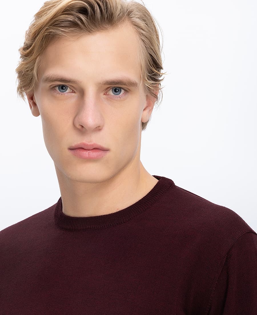 Men's Sweaters B.S Bags Purple