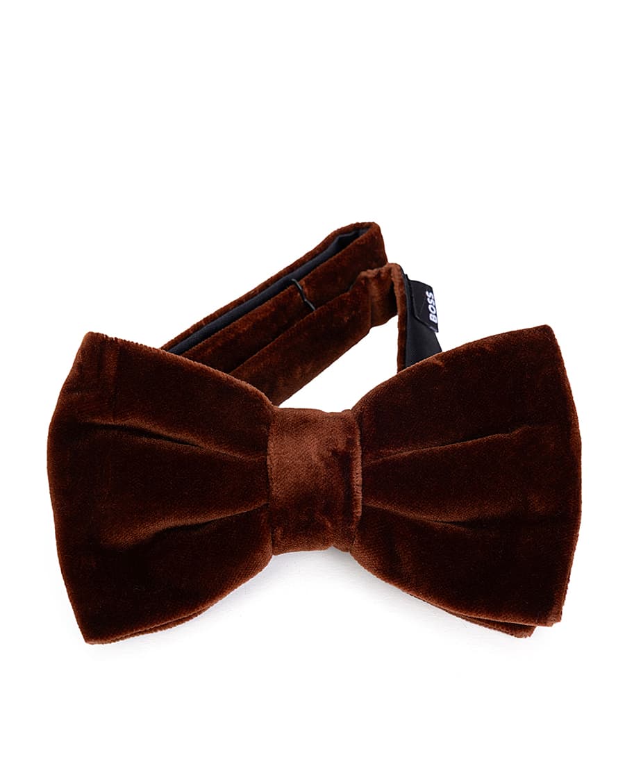 Men's Ties Boss Brown