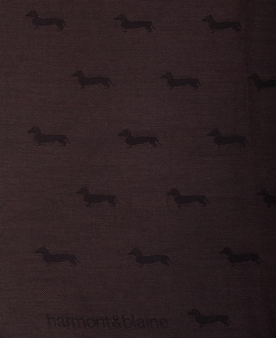 Women's Scarves Harmont & Blaine Brown