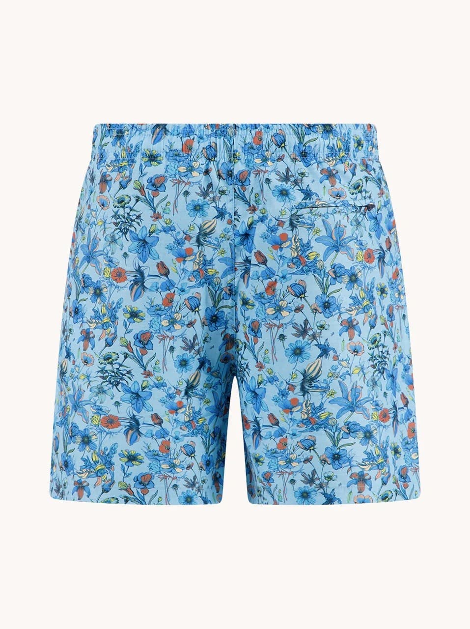 Men's Swim Shorts A Fish named Fred Blue