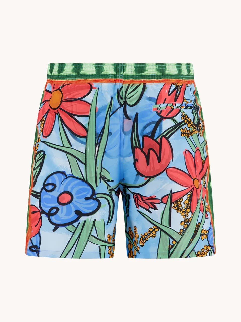 Men's Swim Shorts A Fish named Fred Multicolor