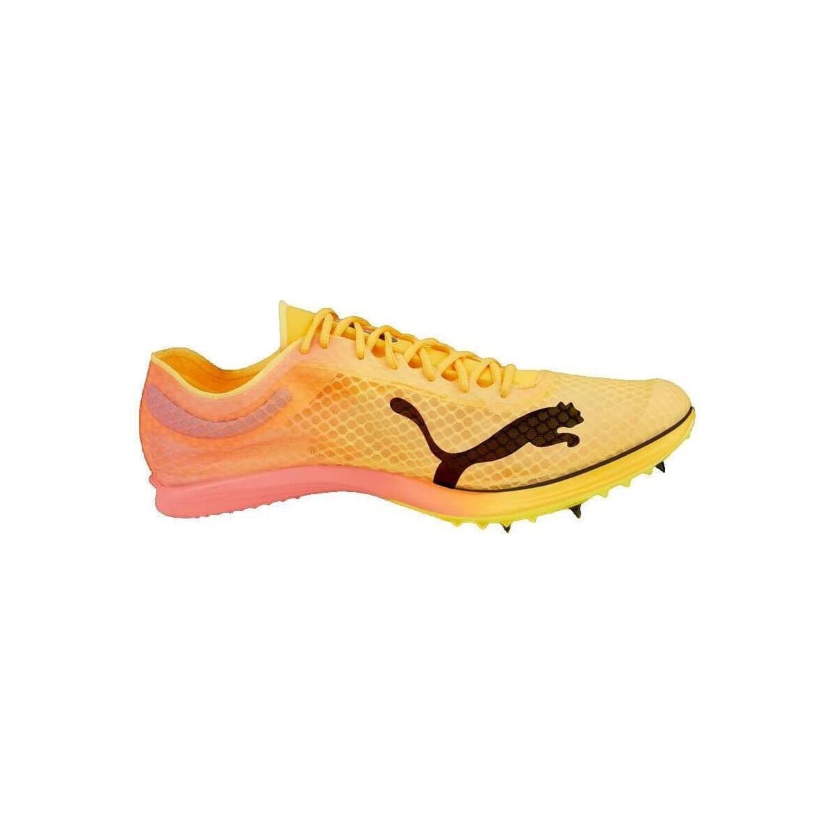 Παπούτσια για τρέξιμο Puma Evospeed Distance Nitro Elite Spikes
