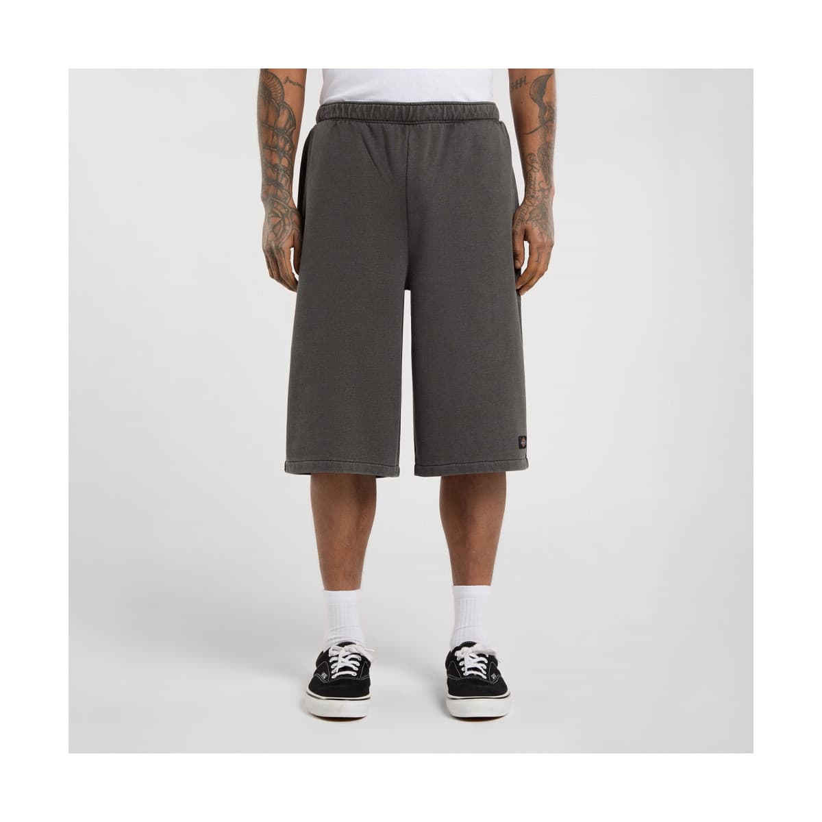 Shorts & Βερμούδες Dickies Streetsboro 13 inch sweat