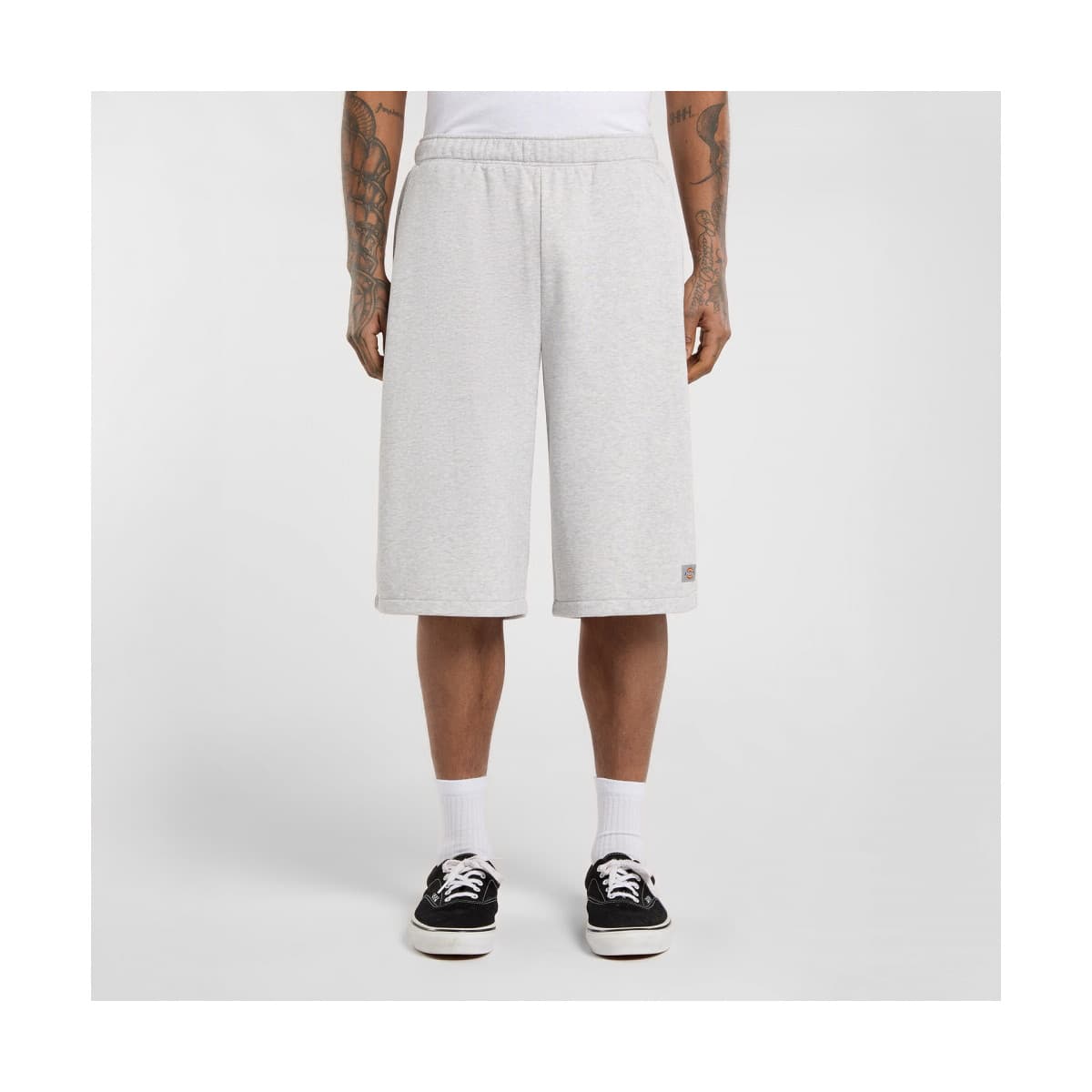 Shorts & Βερμούδες Dickies Streetsboro 13 inch sweat